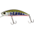 Yamame Red Belly
