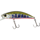Yamame Red Belly
