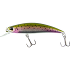 Rainbow Trout