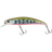 Yamame Red Belly