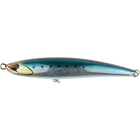 Scaled Sardine