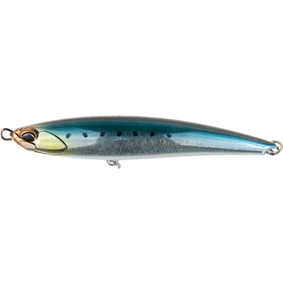 Scaled Sardine