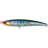 Genkai Sardine