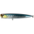 Scaled Sardine