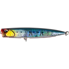 Genkai Sardine