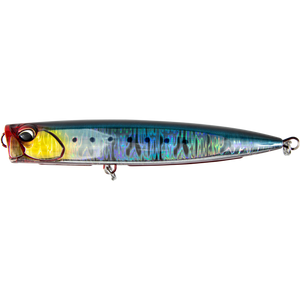 Genkai Sardine