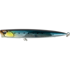 Scaled Sardine