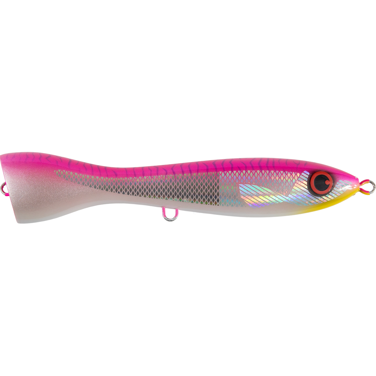 FCL Labo - EBISC 220F
