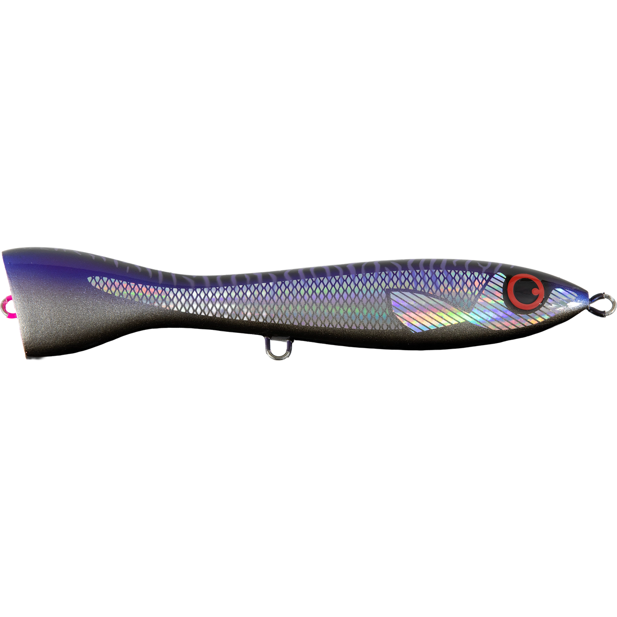 FCL Labo - EBISC 220F
