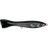 Black Glow