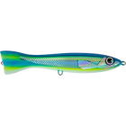 Striped Fusilier