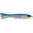 Bright Mackerel