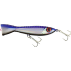 Purple Phantom Mackerel