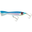 Bright Mackerel