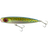 Bluefin Trevally