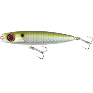 Horse Mackerel