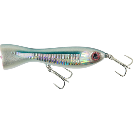 FCL Labo - EBISC 115F