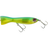 CGG