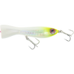 FCL Labo - EBISC 115F