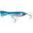 Bright Mackerel