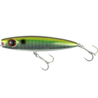 Horse Mackerel