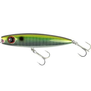 Horse Mackerel