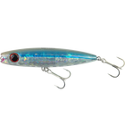 Clear Bay Anchovy