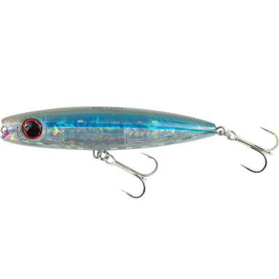 Clear Bay Anchovy