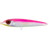 Bright Pink Mackerel