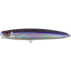 Purple Phantom Mackerel