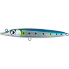 Sardine