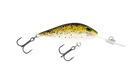 Mustard Grunter
