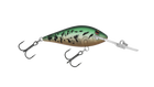 Ghost Green