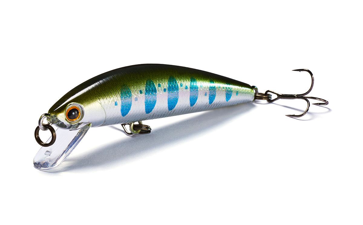 Jackson - Trout Tune