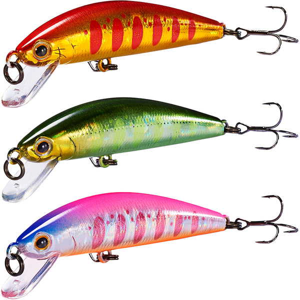 Jackson Trout Tune