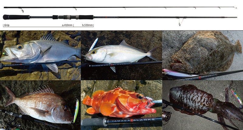 Yamaga Blanks - 88 CHAIN Spinning Rod