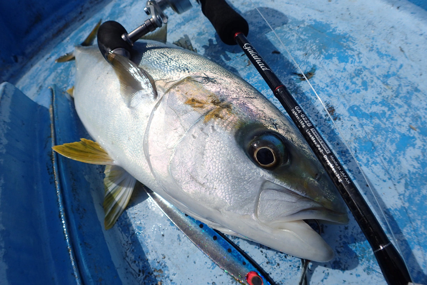 Yamaga Blanks - Galahad 623B Overhead Rod