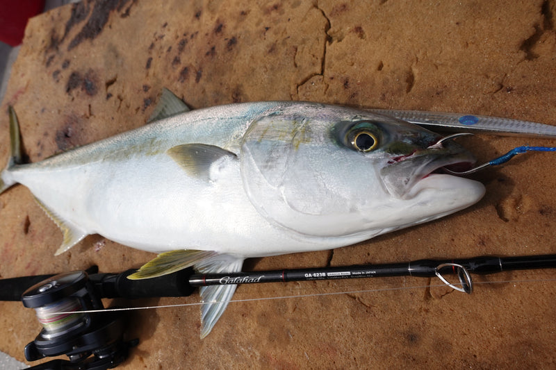 Yamaga Blanks - Galahad 623B Overhead Rod