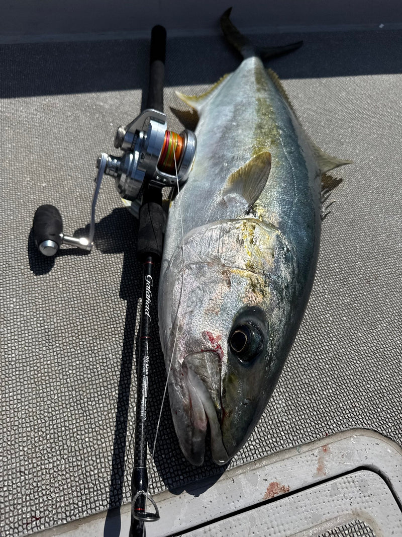 Yamaga Blanks - Galahad 624B Overhead Rod
