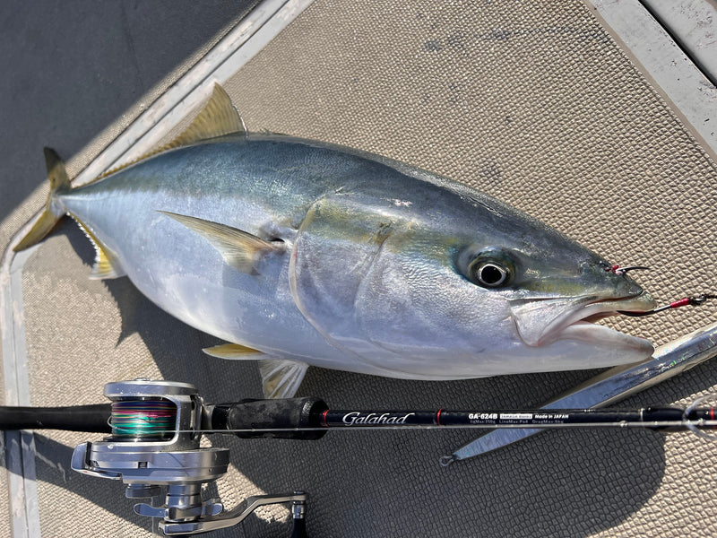 Yamaga Blanks - Galahad 624B Overhead Rod