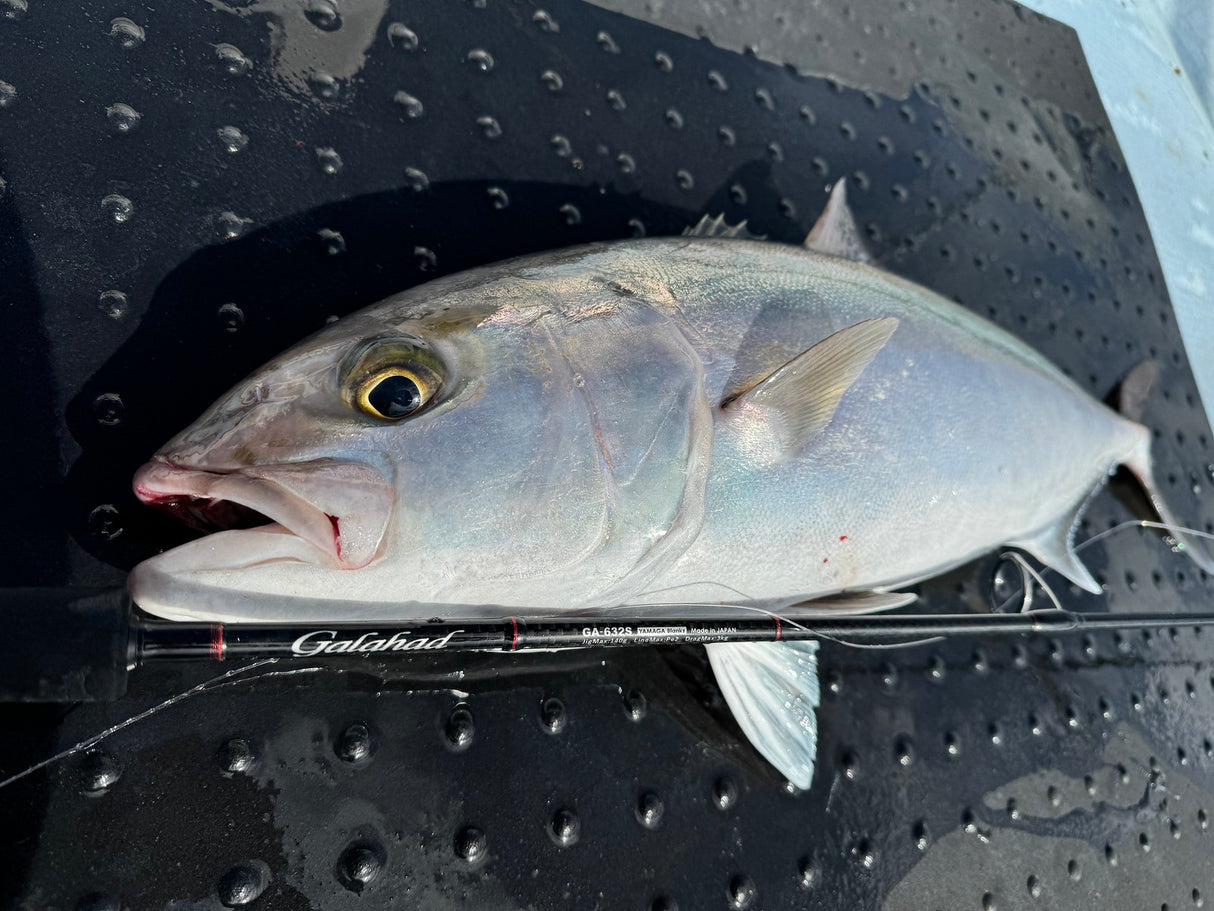 Yamaga Blanks - Galahad 632S