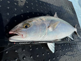 Yamaga Blanks - Galahad 632S