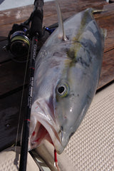 Yamaga Blanks - Galahad 632S