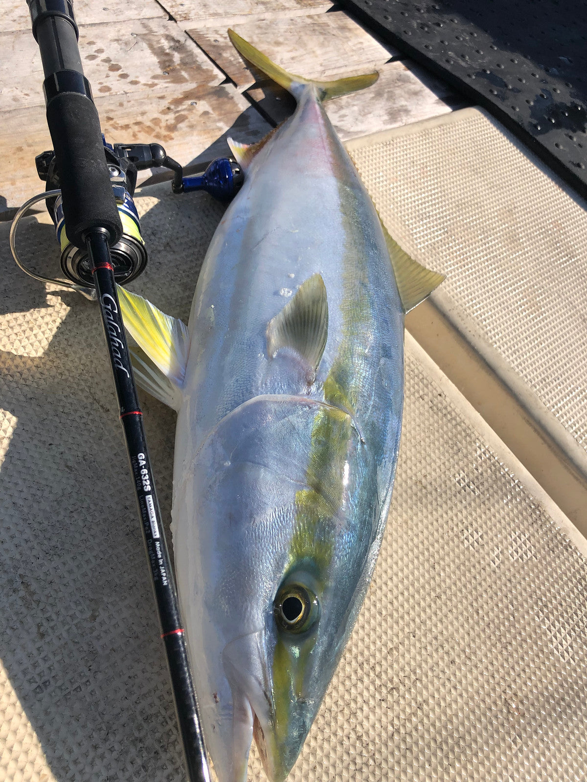 Yamaga Blanks - Galahad 632S