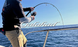 Yamaga Blanks - Galahad 526B