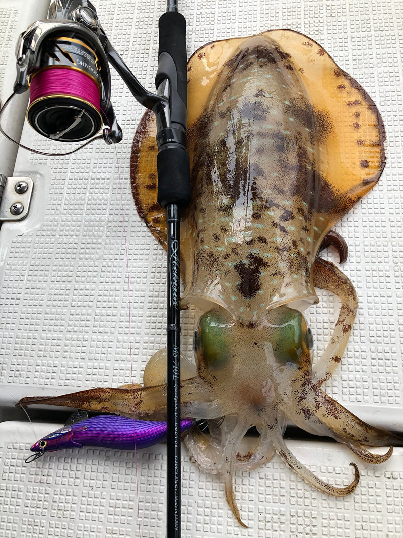 Yamaga Blanks - Mebius 710L Squid Rod