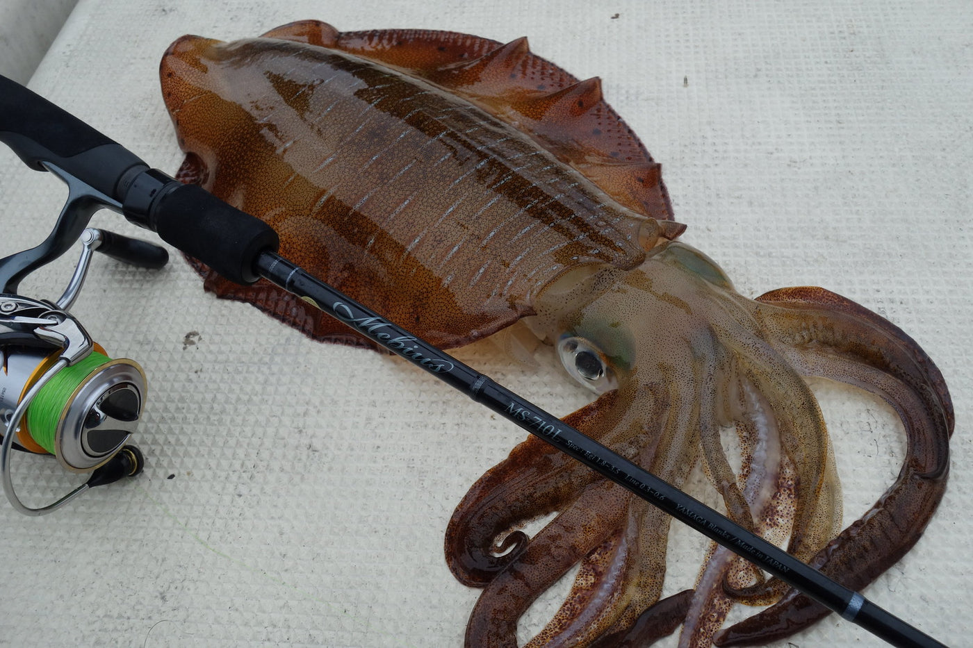 Yamaga Blanks - Mebius 710L Squid Rod