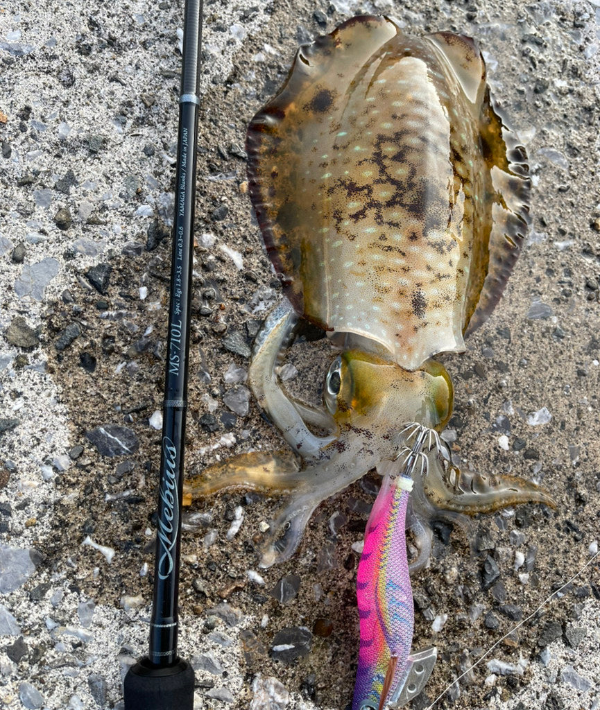 Yamaga Blanks - Mebius 710L Squid Rod