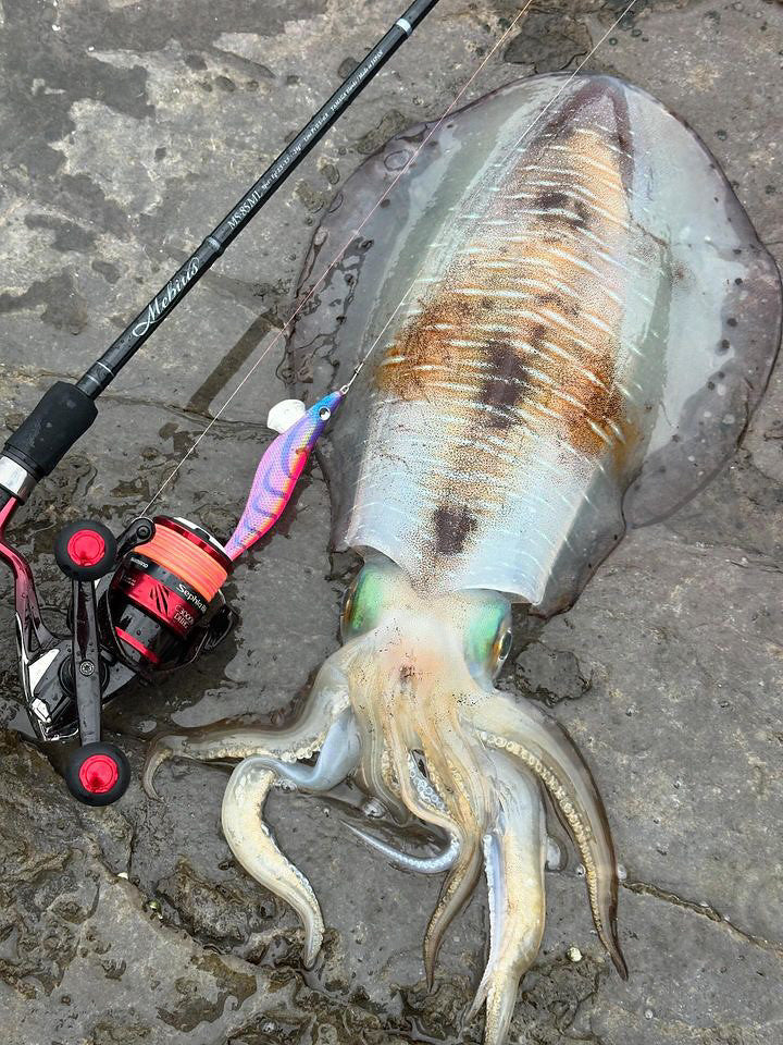 Yamaga Blanks - Mebius 85ML Squid Rod