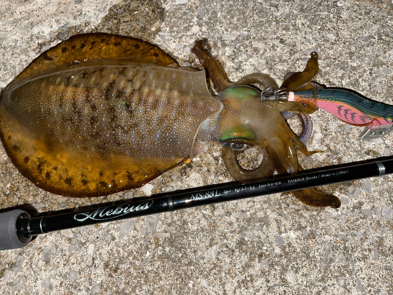 Yamaga Blanks - Mebius 88L Squid Rod